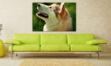 Fotoobraz na plátně 130x90cm