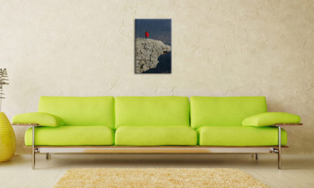 Fotoobraz na plátně 40x60cm