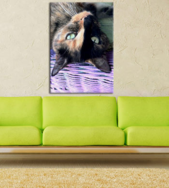 Fotoobraz na plátně 70x100cm