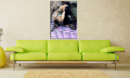 Fotoobraz na plátně 70x100cm
