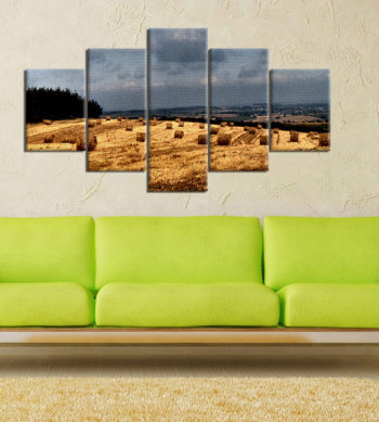 Fotoobraz na plátně 5-dílný 150x80cm